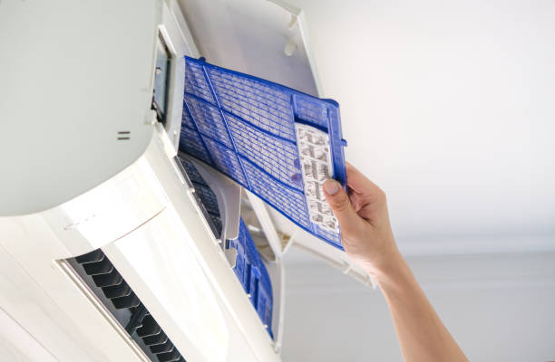 Best Professional Duct Cleaning Services  in Upper Grand Lagoon, FL